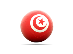 tunisia_volleyball_icon_256.png