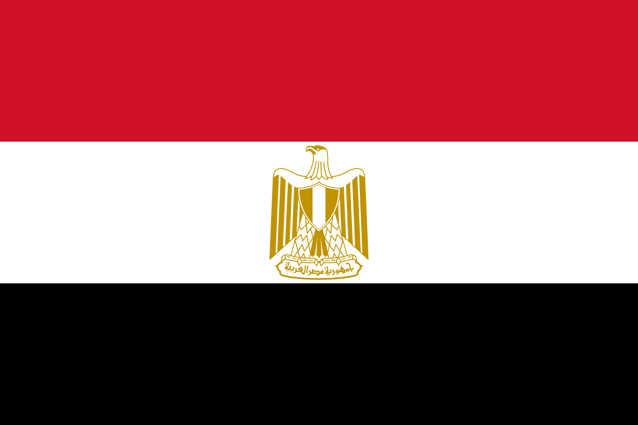 More information about "Egypt Qualification Tracker"