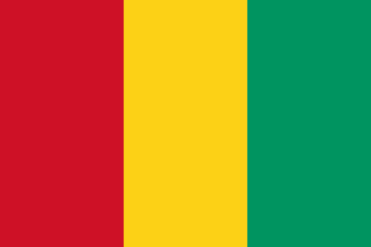 More information about "Guinea Qualification Tracker"