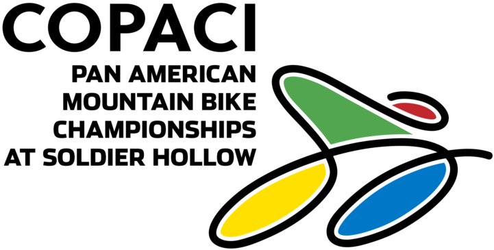 Pan-Am-Alternate-Logo-Idea-02-edited-768x512.png