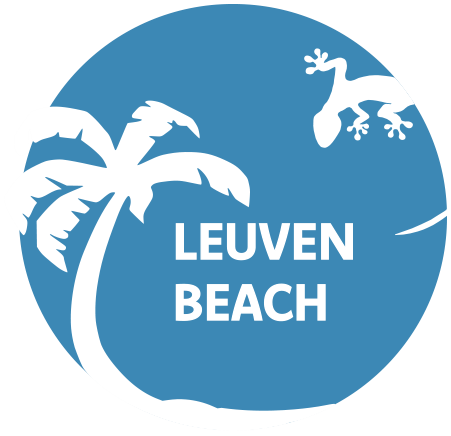 Leuven-Beach-def-blauw-500x500-1.png